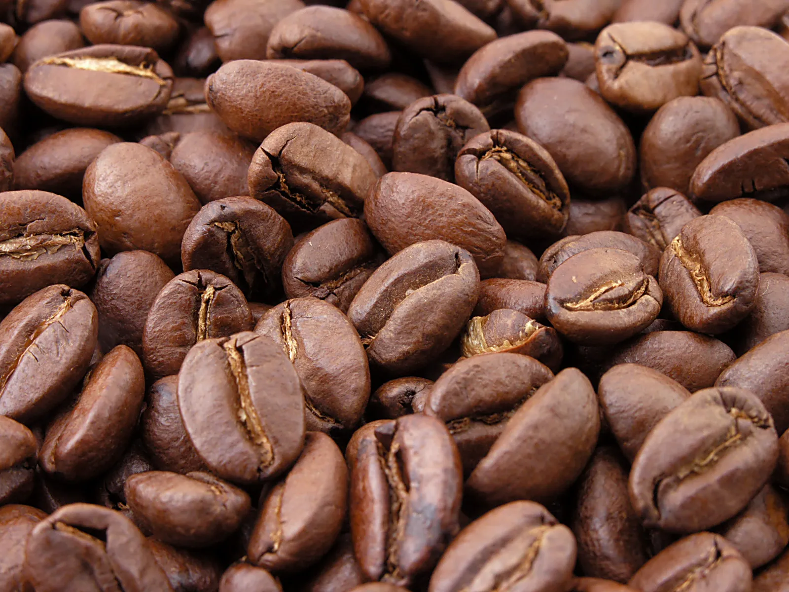 Frisch gemahlener Kaffee im Büro